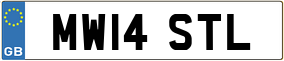 Truck License Plate